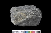 藏品(變質礫岩)的圖片